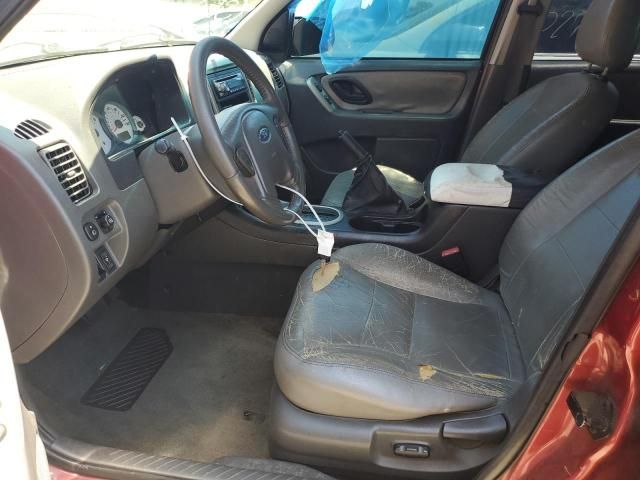 2006 Ford Escape XLT