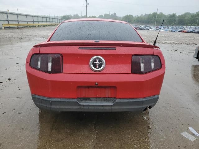 2010 Ford Mustang