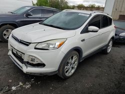 Salvage cars for sale at New Britain, CT auction: 2014 Ford Escape Titanium