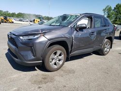 Salvage cars for sale at Dunn, NC auction: 2024 Toyota Rav4 LE