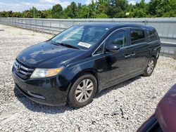 Salvage cars for sale at auction: 2014 Honda Odyssey EX