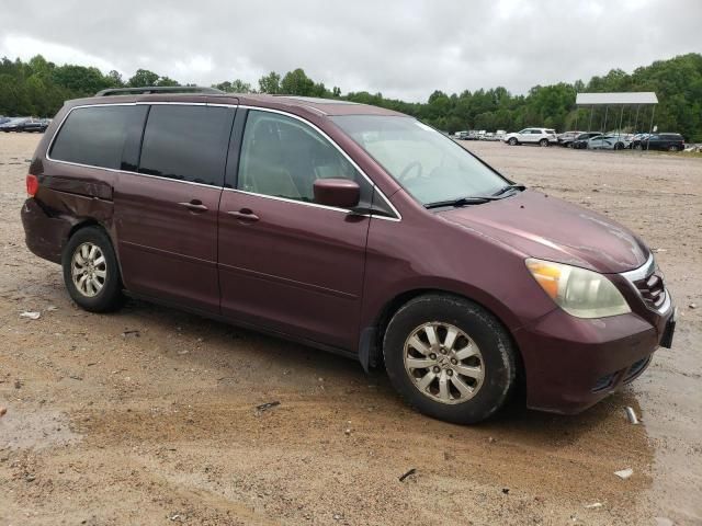 2010 Honda Odyssey EXL