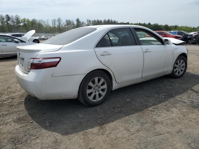 2008 Toyota Camry Hybrid