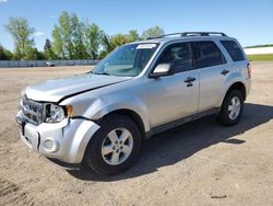 Salvage cars for sale from Copart Portland, MI: 2010 Ford Escape XLT
