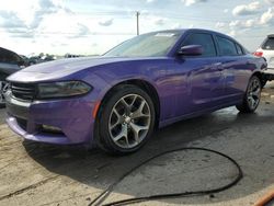 Dodge Charger salvage cars for sale: 2016 Dodge Charger SXT