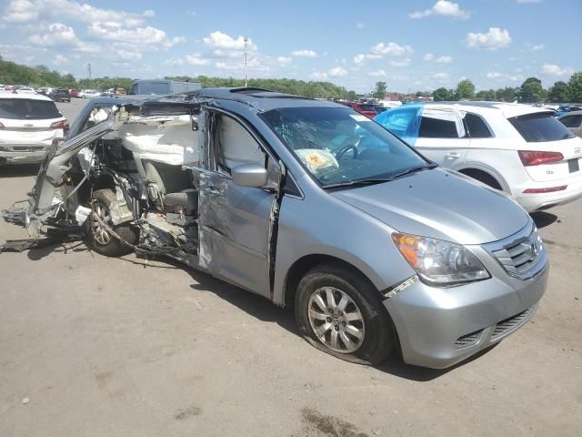 2008 Honda Odyssey EXL