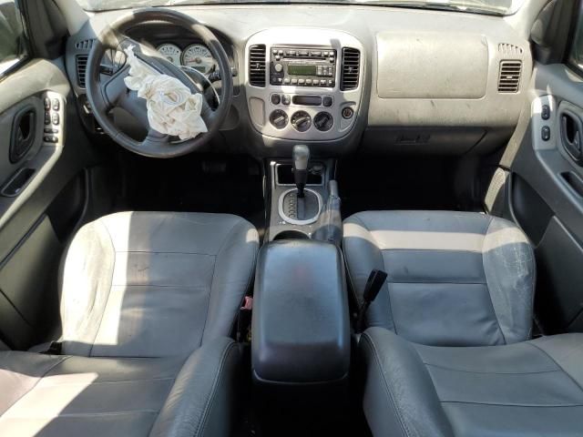 2007 Ford Escape XLT