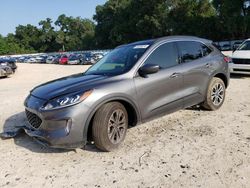 Salvage cars for sale at Ocala, FL auction: 2022 Ford Escape SEL