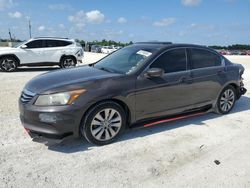 Salvage cars for sale from Copart Arcadia, FL: 2012 Honda Accord EXL