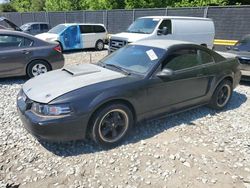Salvage cars for sale at Waldorf, MD auction: 1999 Ford Mustang Cobra SVT