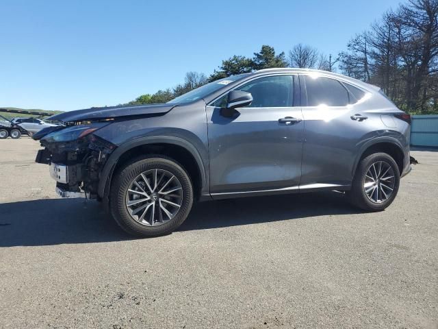 2022 Lexus NX 350