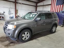 Salvage cars for sale at Billings, MT auction: 2009 Ford Escape XLT