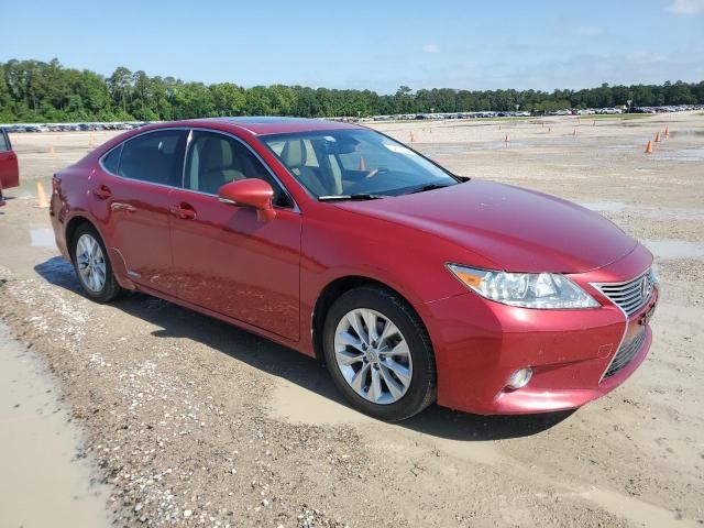 2014 Lexus ES 300H