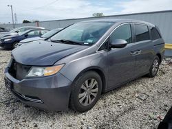 Salvage cars for sale at Franklin, WI auction: 2014 Honda Odyssey EX