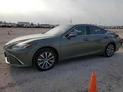 Salvage cars for sale at Houston, TX auction: 2019 Lexus ES 350