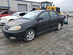 Salvage cars for sale from Copart Earlington, KY: 2003 Toyota Corolla CE