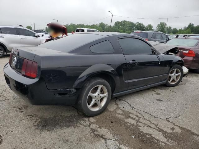 2006 Ford Mustang