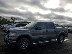 Salvage cars for sale at Des Moines, IA auction: 2010 Ford F150 Supercrew