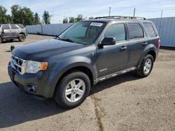 Salvage cars for sale at Portland, OR auction: 2008 Ford Escape HEV