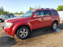 Salvage cars for sale from Copart Bowmanville, ON: 2010 Ford Escape Limited