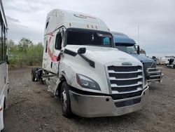 Salvage cars for sale from Copart Billings, MT: 2023 Freightliner Cascadia 126