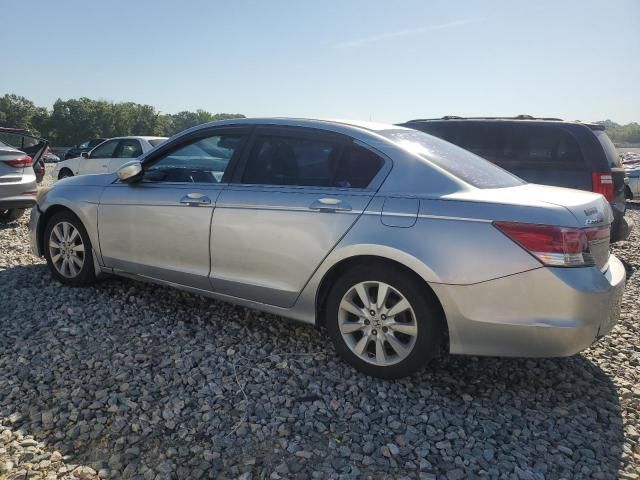 2011 Honda Accord EX