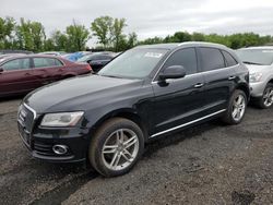 Salvage cars for sale at New Britain, CT auction: 2015 Audi Q5 Premium Plus