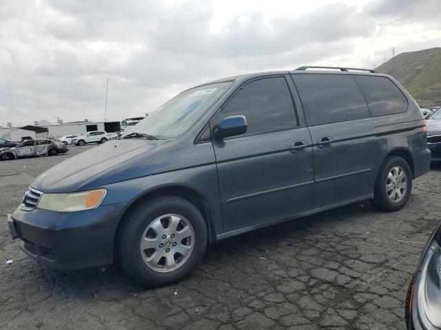 2004 Honda Odyssey EXL