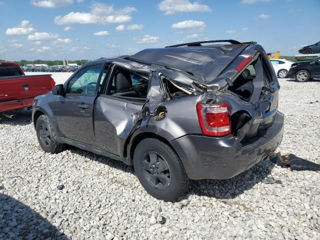 2011 Ford Escape XLT