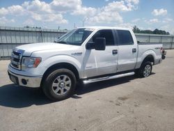 Salvage cars for sale at Dunn, NC auction: 2013 Ford F150 Supercrew
