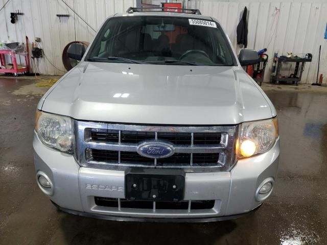 2009 Ford Escape XLT