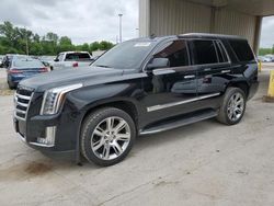 Salvage cars for sale at Fort Wayne, IN auction: 2015 Cadillac Escalade Luxury