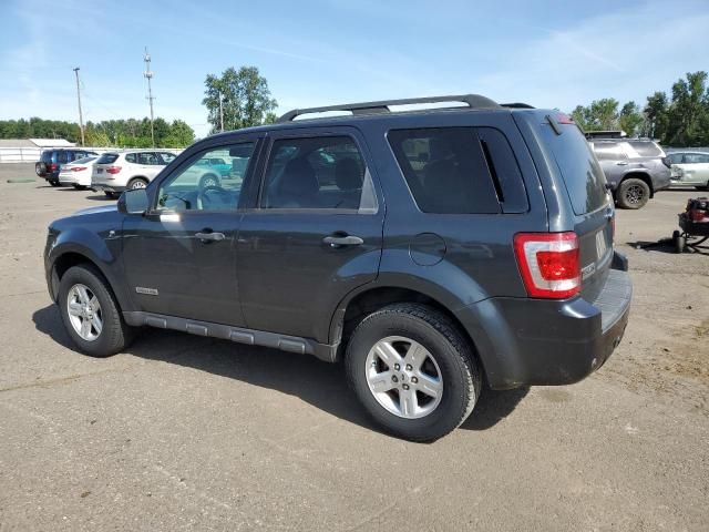 2008 Ford Escape HEV