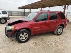 Ford Escape Limited salvage cars for sale: 2005 Ford Escape Limited