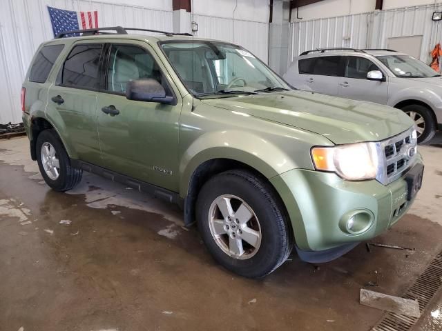 2008 Ford Escape XLT