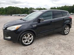 Salvage cars for sale at Charles City, VA auction: 2013 Ford Escape SEL