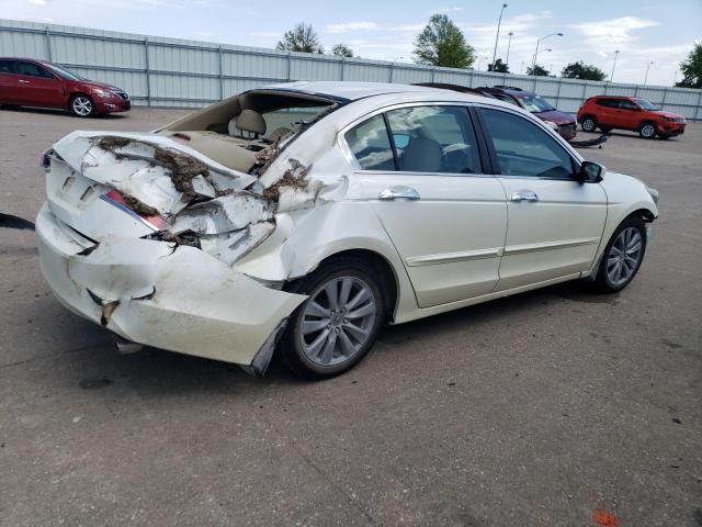 2011 Honda Accord EXL