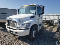 Salvage trucks for sale at Avon, MN auction: 2019 Hino 258 268