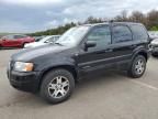 2002 Ford Escape XLT