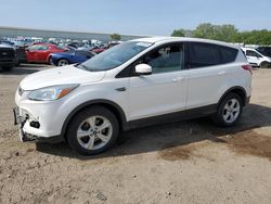 Salvage cars for sale from Copart Davison, MI: 2013 Ford Escape SE