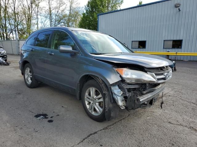 2010 Honda CR-V EXL