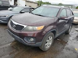 Salvage cars for sale at New Britain, CT auction: 2011 KIA Sorento Base