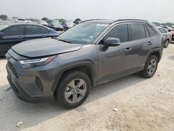 Salvage cars for sale from Copart San Antonio, TX: 2022 Toyota Rav4 XLE