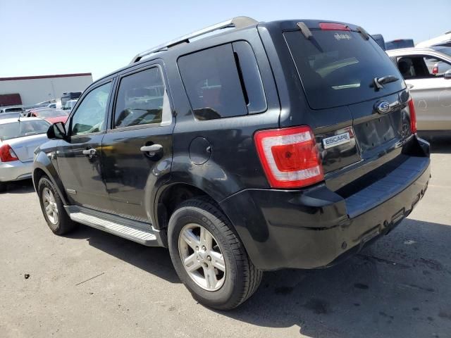 2008 Ford Escape HEV