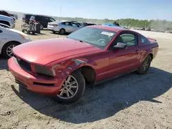 Muscle Cars for sale at auction: 2006 Ford Mustang