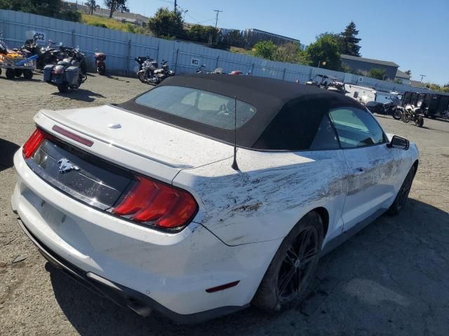 2019 Ford Mustang