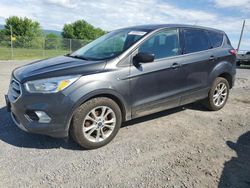 Ford Escape se salvage cars for sale: 2017 Ford Escape SE