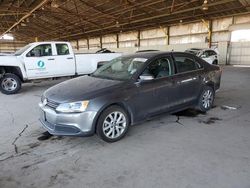 Salvage cars for sale at Phoenix, AZ auction: 2013 Volkswagen Jetta SE