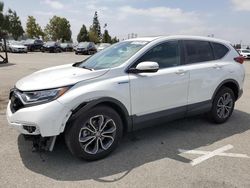 Salvage cars for sale from Copart Rancho Cucamonga, CA: 2020 Honda CR-V EX