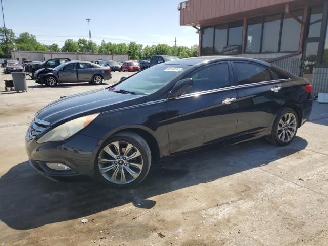 2011 Hyundai Sonata SE